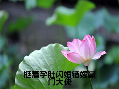 宋雪薇陆铭轩（挺着孕肚闪婚错嫁豪门大佬）全文免费阅读-（宋雪薇陆铭轩）挺着孕肚闪婚错嫁豪门大佬最新章节小说阅读-笔趣阁