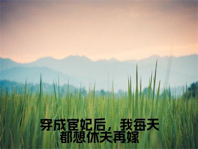 穿成宦妃后，我每天都想休夫再嫁全文小说（秦若时宗政朝暮）-完结版热文秦若时宗政朝暮（穿成宦妃后，我每天都想休夫再嫁）小说免费阅读