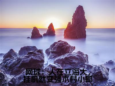 网球：人在立海大，挂机就变强木村小郎（高桥彦一木村小郎）全文免费阅读无弹窗大结局_网球：人在立海大，挂机就变强木村小郎最新章节列表（高桥彦一木村小郎）
