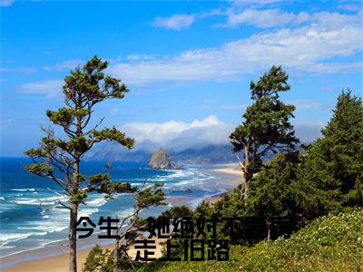 小说（今生，她绝对不要再走上旧路）在线赏析_陆承焱徐幼薇txt小说在线阅读笔趣阁