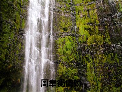 虞娇周聿衡（周聿衡虞娇）最新热门小说榜单推荐-虞娇周聿衡最新章节免费阅读