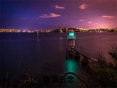 小说《谢韫云念》全文免费阅读无弹窗-谢韫云念（云念谢韫）小说全文在线赏析_笔趣阁