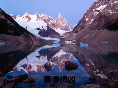 林风（赛博缉凶）全文免费阅读无弹窗-赛博缉凶完整版全文在线赏析