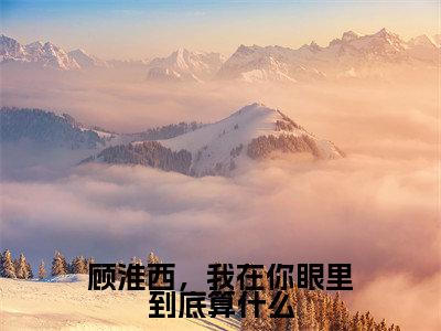 顾淮西夏予沫（顾淮西，我在你眼里到底算什么）全文免费阅读无弹窗大结局_顾淮西，我在你眼里到底算什么_笔趣阁