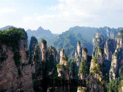 《虞司政钟婉凝》虞司政钟婉凝（热推新书）-抖音热推虞司政钟婉凝无弹窗阅读