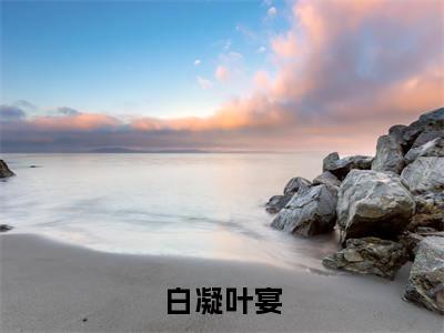 白凝叶宴（白凝叶宴）全文免费阅读最新章节大结局_白凝叶宴最新章节列表_笔趣阁