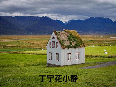 丁宁花小静全文免费阅读无弹窗-（花小静丁宁在线阅读）丁宁花小静最新章节列表笔趣阁
