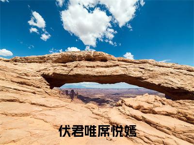 伏君唯席悦嫣（席悦嫣伏君唯）全文免费阅读无弹窗大结局_伏君唯席悦嫣热门小说最新章节阅读