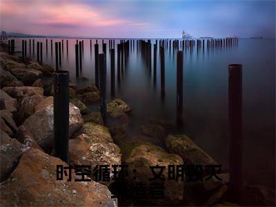 奕歌小说叫什么名字（时空循环：文明毁灭缔造者）完整版大结局-奕歌小说在线阅读