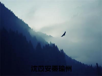 沈苡安秦瑜州（沈苡安秦瑜州）全文免费阅读无弹窗大结局_沈苡安秦瑜州最新章节列表_笔趣阁（沈苡安秦瑜州）