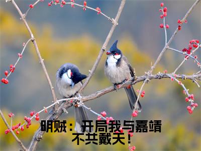 明贼：开局我与嘉靖不共戴天！在线阅读（杨寒苍）全文免费阅读无弹窗大结局_杨寒苍最新章节列表笔趣阁（明贼：开局我与嘉靖不共戴天！）