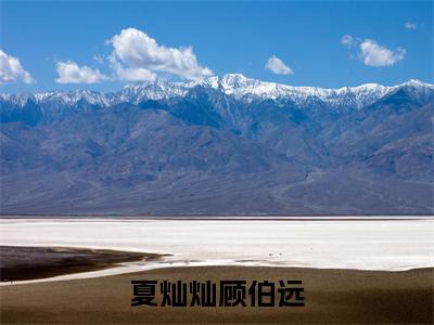 顾伯远夏灿灿（夏灿灿顾伯远）全文免费阅读无弹窗大结局_夏灿灿顾伯远小说在线阅读无删减