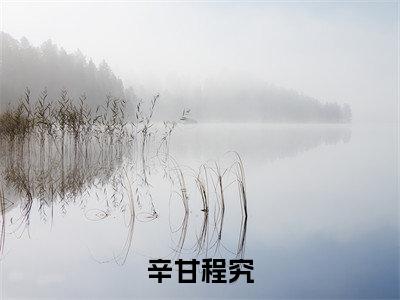 辛甘程究（程究辛甘）小说全文小说免费阅读_辛甘程究最新章节列表笔趣阁（程究辛甘）