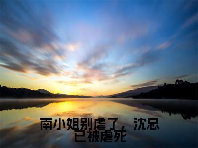 南小姐别虐了，沈总已被虐死（沈希衍南浅）笔趣阁免费小说全文完整版-沈希衍南浅无弹窗免费阅读