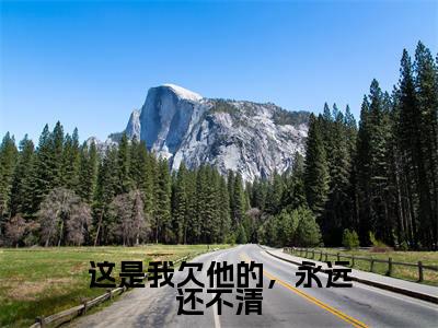 这是我欠他的，永远还不清（周凛秦南星）小说全文-这是我欠他的，永远还不清小说免费阅读大结局