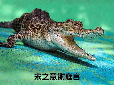 谢庭言宋之意免费宋之意谢庭言读无弹窗最新章节列表_笔趣阁（谢庭言宋之意）
