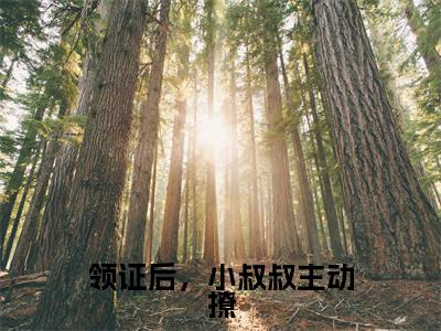 初霜顾隋小说完整版阅读-领证后，小叔叔主动撩小说全文无删减版