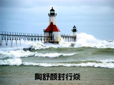 陶舒颜封行焱小说:（陶舒颜封行焱）全文免费阅读无弹窗大结局_封行焱陶舒颜小说:陶舒颜封行焱最新章节列表