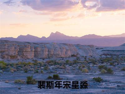 宋星淼裴斯年小说（裴斯年宋星淼）完整版大结局-裴斯年宋星淼小说免费阅读