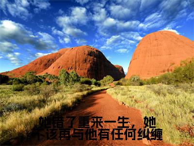 她错了重来一生，她不该再与他有任何纠缠全文小说（周淮遇花颜）全文阅读-她错了重来一生，她不该再与他有任何纠缠在线小说免费阅读
