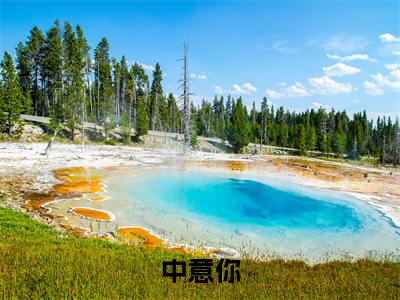 秦琛苏沫（中意你）全文免费阅读无弹窗大结局_秦琛苏沫最新章节列表_笔趣阁