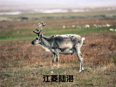 江菱陆湛（陆湛江菱）全文免费阅读无弹窗大结局_江菱陆湛在线阅读笔趣阁（陆湛江菱）