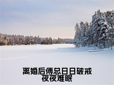 叶聆之傅明司全文免费阅读无弹窗大结局_（离婚后傅总日日破戒夜夜难眠小说）叶聆之傅明司最新章节列表笔趣阁（离婚后傅总日日破戒夜夜难眠）
