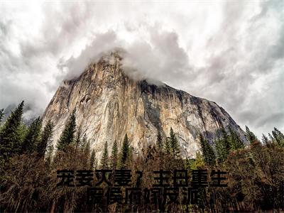 宠妾灭妻？主母重生废侯府嫁反派免费阅读无弹窗大结局-顾念初（宠妾灭妻？主母重生废侯府嫁反派最新全章节大结局）全文阅读