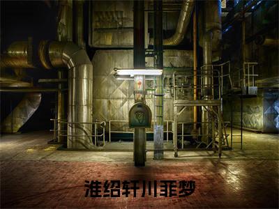 淮绍轩川菲梦（川菲梦淮绍轩全文免费阅读）小说最新章节_淮绍轩川菲梦全文免费阅读最新章节列表_笔趣阁