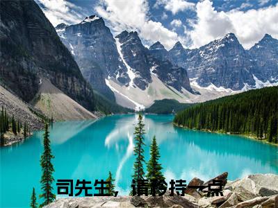 司先生，请矜持一点（司从宴夏初见最新章节）在线阅读-免费小说司先生，请矜持一点全文阅读