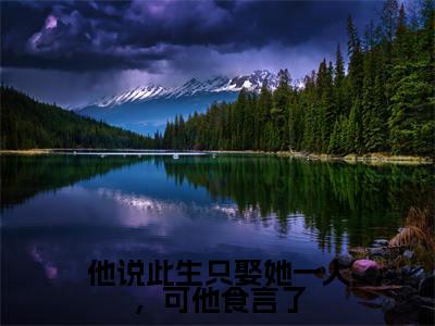 他说此生只娶她一人，可他食言了全文免费无弹窗大结局_徐晚凝陈靖廷免费他说此生只娶她一人，可他食言了最新章节列表_笔趣阁