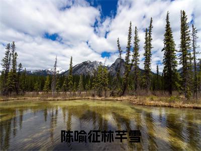 陈喻征林芊雪小说（林芊雪陈喻征）全文免费阅读_（林芊雪陈喻征）陈喻征林芊雪最新章节列表笔趣阁