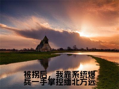 被拐后，我靠系统爆兵一手掌控缅北方远（方远坤泰）免费全文阅读小说_被拐后，我靠系统爆兵一手掌控缅北方远免费在线阅读（方远坤泰）小说最新章节列表