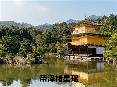帝泽褚星瑶小说全文免费阅读（褚星瑶帝泽）全文免费阅读无弹窗大结局_帝泽褚星瑶最新章节列表
