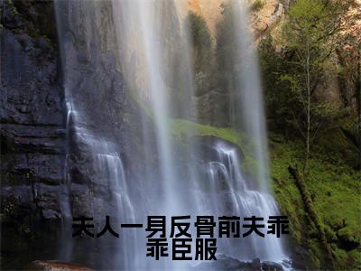 沈絮靳晏臣（夫人一身反骨前夫乖乖臣服）完整版小说阅读_夫人一身反骨前夫乖乖臣服全文免费阅读笔趣阁（沈絮靳晏臣）