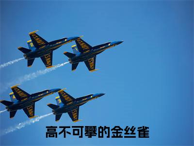 （高不可攀的金丝雀）沈年王翠花全文完整版-最新热门榜单小说高不可攀的金丝雀（沈年王翠花）