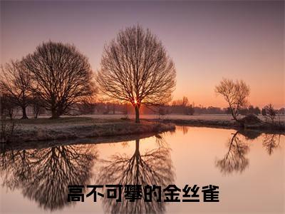 沈年王翠花的小说主角（高不可攀的金丝雀）免费阅读_高不可攀的金丝雀热搜小说完结版阅读
