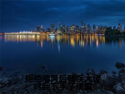 南洛沈度小说完整版阅读-（拒绝渣男后残疾大佬对我下手了沈度）小说全文免费阅读