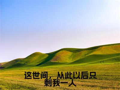 这世间，从此以后只剩我一人精彩章节在线阅读_沈知星段渠免费观看（这世间，从此以后只剩我一人）完结版_笔趣阁（沈知星段渠）