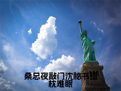 桑总夜敲门沈秘书孤枕难眠（沈明月桑时）全文免费阅读无弹窗大结局_沈明月桑时（桑总夜敲门沈秘书孤枕难眠最新章节在线阅读）_笔趣阁
