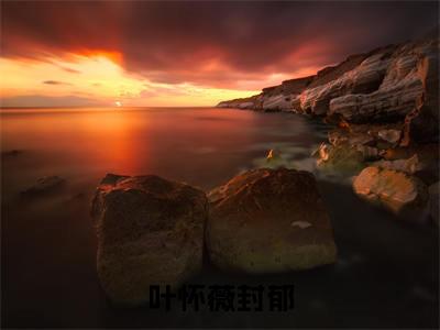 叶怀薇封郁主角是叶怀薇封郁全文免费阅读无弹窗-叶怀薇封郁最新章节列表-笔趣阁