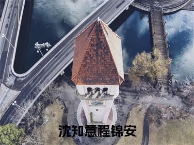沈知意程锦安小说精彩章节今日阅读更新-（程锦安沈知意小说）免费阅读小说全文