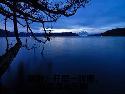 网游：开局一张图，我能演化万物全文免费阅读-（叶枫）小说全文免费阅读正版无弹窗