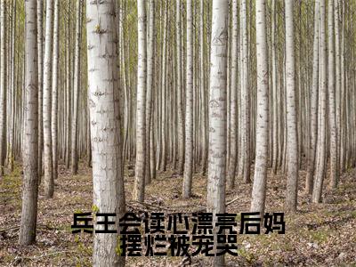 小说《兵王会读心漂亮后妈摆烂被宠哭》全文免费阅读无弹窗-徐子矜杨胜军小说全文在线赏析