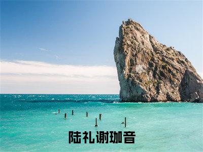 主角谢珈音陆礼小说陆礼谢珈音小说全文免费阅读（免费）+（番外）