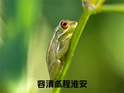 容清鸢程淮安程淮安容清鸢免费阅读大结局无弹窗-容清鸢程淮安小说推荐程淮安容清鸢精彩章节在线阅读