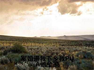 军婚逼我下乡我PUA他全家（方盈林鸣精彩美文）免费阅读-小说方盈林鸣最后结局如何