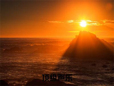 顶级声乐（林枫）全文免费阅读无弹窗大结局_林枫小说最新章节列表_笔趣阁