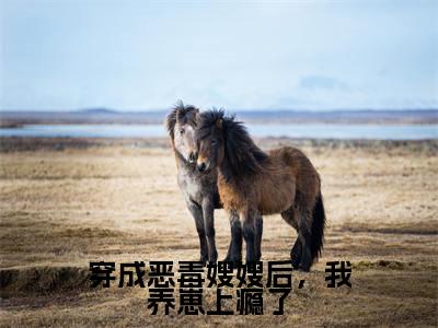 穿成恶毒嫂嫂后，我养崽上瘾了美文欣赏完整版，景栩沈妤欢精彩章节在线阅读