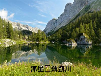 小说沐星珝薄劲川无弹窗免费阅读-新上热文小说（薄劲川沐星珝）讲的是什么